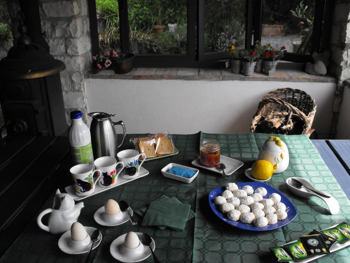 Bed And Breakfast Il Governatore Urbino Exteriör bild