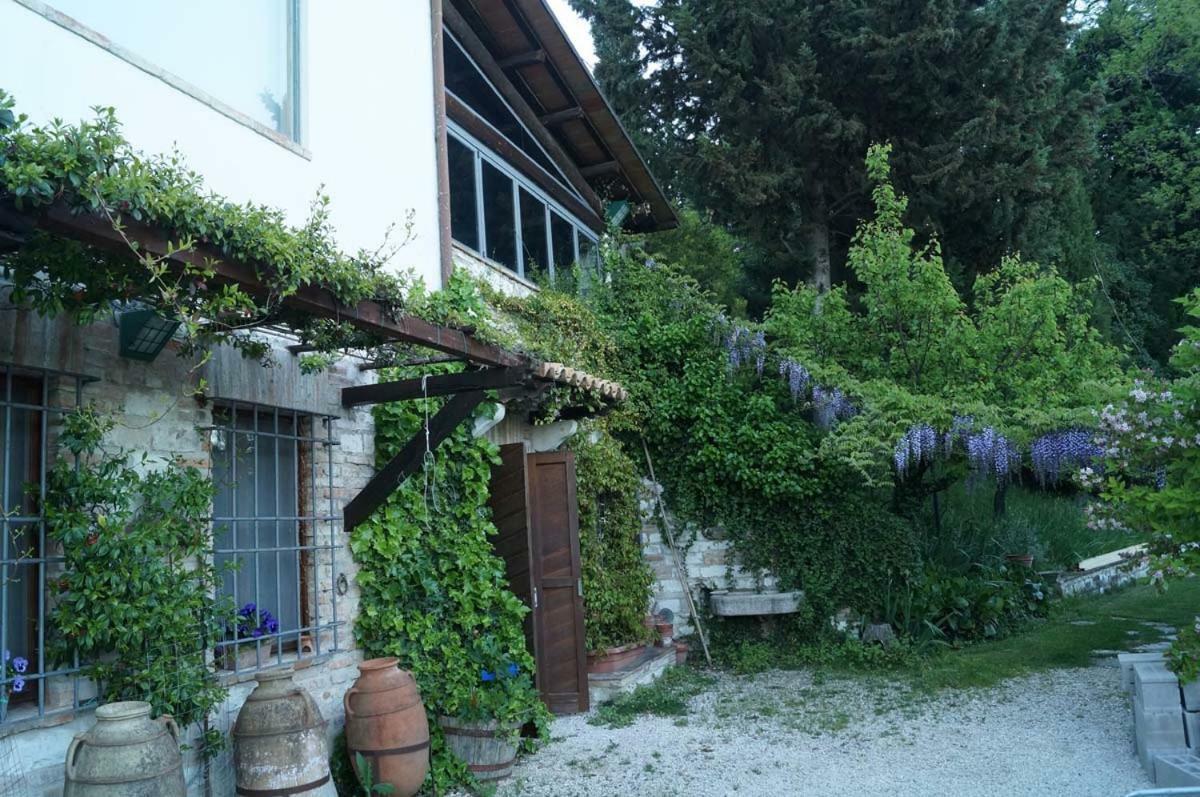 Bed And Breakfast Il Governatore Urbino Exteriör bild