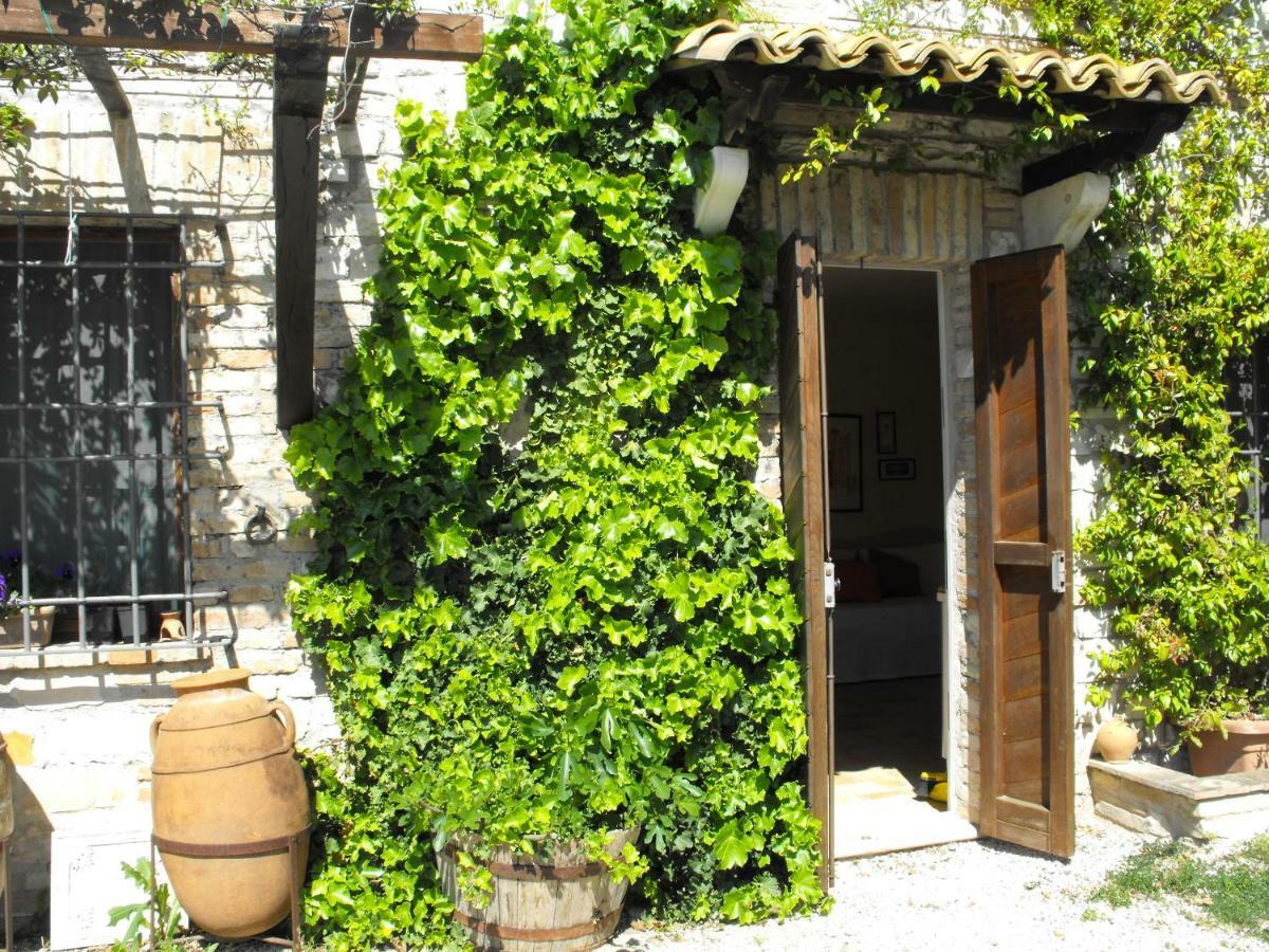 Bed And Breakfast Il Governatore Urbino Exteriör bild