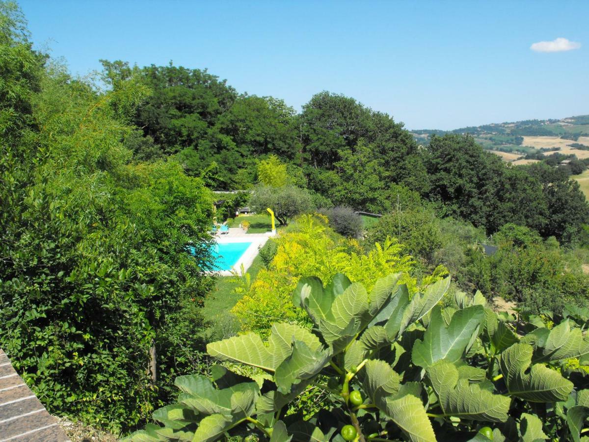 Bed And Breakfast Il Governatore Urbino Exteriör bild